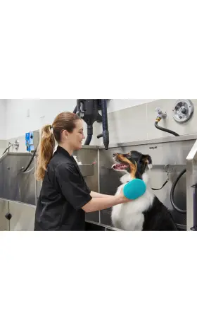 15535 GROOMER ESSENTIALS Rubber Glove #2