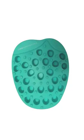 15578 GROOMER ESSENTIALS Rubber Curry Brush #2