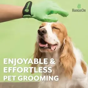 850021749118 H-HANDSON Pet Gloves Patented Ranked Award Bat #2