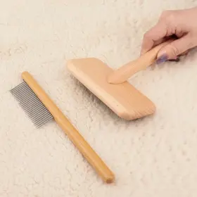 WA-YMS001 HAETYIEH Wool Brush Carpet Rake Tool Pet Hair Wood