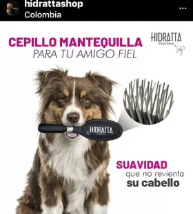 313113780760 HIDRATTA Hairbrush Pets Cepillo Mantequilla #2