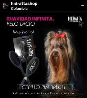 313113780760 HIDRATTA Hairbrush Pets Cepillo Mantequilla