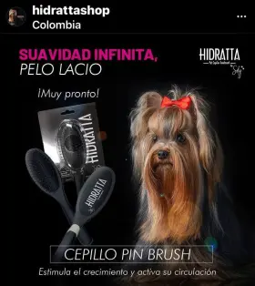 Hidratta 445016150142 Premium Pet Pin Brush Inch Butter Comfortable For Dogs And Cats Long S