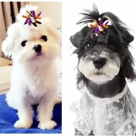 781573300734 HIXIXI Pack Halloween Pet Dog Cat Hair Bows #2