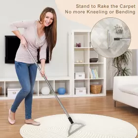 HS-L008 HOLD STAR Handle Carpet Rake Pet Hair Remover #2
