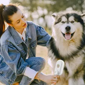 Kitchen WATER Steam Brush Shedding Dog Steamy Pet Cats #2