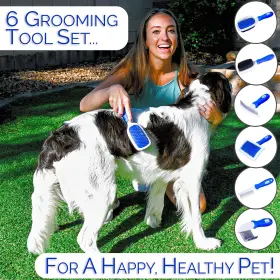 860004513100 HORICON PET Dog Brush Set Brushes Ball Pin Brus #2