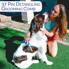860004513179 HORICON PET Detangling Comb Steel Dogs #2