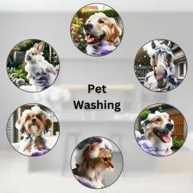 445002995931 HUIZHOU RENSHAN SILICON PRODUCTS Dog Washing Pe #3