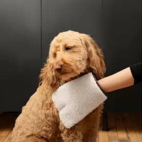 70602DOM PET Massage Mitt Microfiber Cleaning Water #3