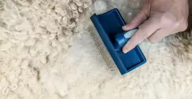 6376402 INTERPET LTD Dog Puppy Curved Head Slicker Brush Tool #3