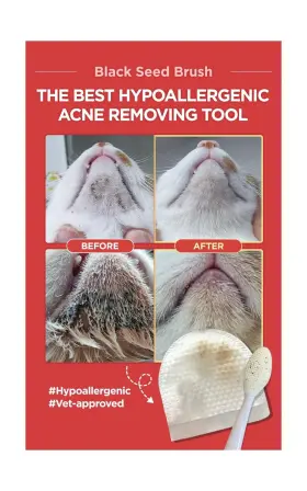 809739890195 JAYU PET Seed Brush Cat Exfoliating Double #2