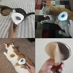 710667377482 KATYAA Cat Brush Brushes Shedding Clean #2