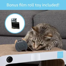 083985104055 KITTY CITY Camera Scratcher #3