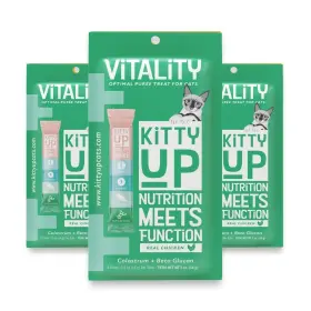 860010932995 KITTY UP Vitality Lickable Cat Treat Natural