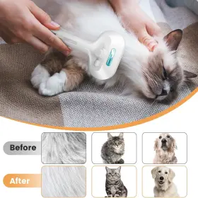 313099838875 LACOKI Steam Brush Pets Tool Spray Mist Hair #2