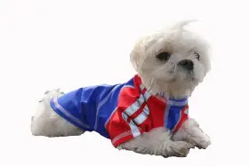 737079165964 LOUIE DE COTON Sun Shirt Dogs Cats Uv Cooling