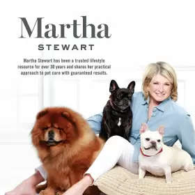 742797813530 MARTHA STEWART Pets Double Comb Dog #3