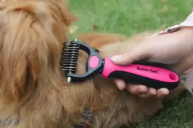 850050643159 MAXPOWER PLANET Pet Brush Double Shedding Rake #3