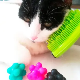 853564007219 MICHEL MERCIER Pet Detangling Brush Fur #3
