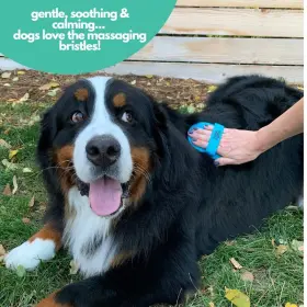 854572007611 MIGHTY MUTT Pet Brush Rubber Bristles Cleaning #3