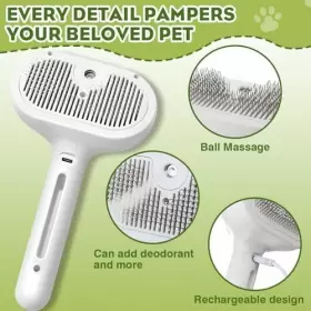 794794955591 MNQAXZ Cat Steam Brush Pet Spray Comb Steaming #2
