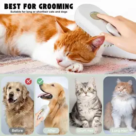 198168366110 MNSK Cat Steam Brush Steamy Silicone Massage #3