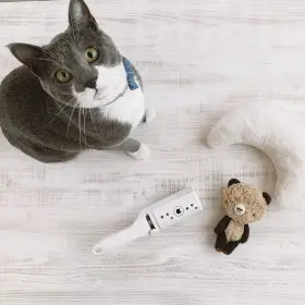 580471865255 NECOICHI Purrfection Neat Cat Hair Pet Remover #3