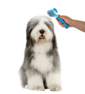 628068627108 NICE PAWS Cleaning Slicker Brush Pink Pet Bru #2