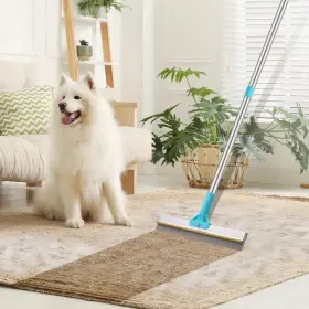 A1260K ONDWARE Carpet Rake Pet Hair Removal