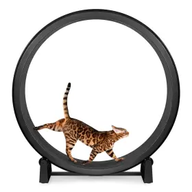 OFC-0100G7 ONE FAST CAT Exercise Wheel Safe