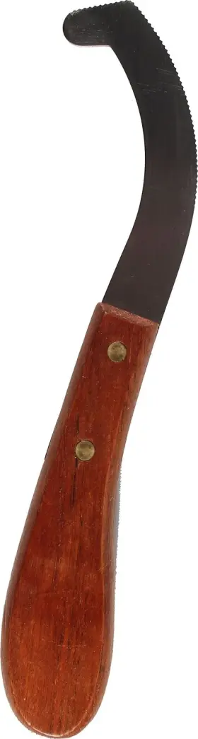 792561021852 PARTRADE Steel Bot Egg Scraper