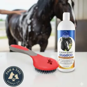 756542326749 PAW TAIL SUPPLY Horse Davis Scruffy Shampoo Mane
