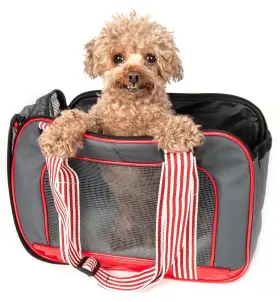 781163701019 PET LIFE Candy Cane Tote Carrier Dogs Striped