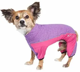 810787037317 PET LIFE Ftchase Pacerft Mediumweight Breathable
