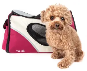 858342044400 PET LIFE Ftphenom Airft Airline Carrier Zippered #2