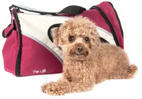 858342044400 PET LIFE Ftphenom Airft Airline Carrier Zippered #3