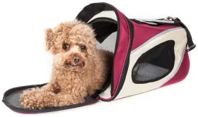 858342044400 PET LIFE Ftphenom Airft Airline Carrier Zippered