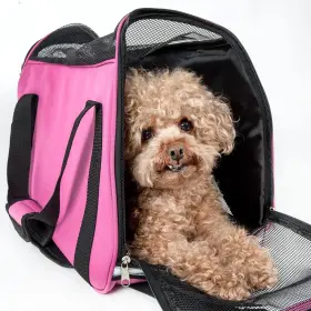 858342044455 PET LIFE Ftaltitude Forceft Airline Carrier #2