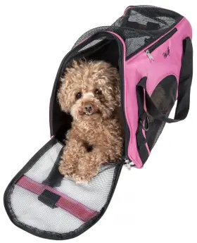 858342044455 PET LIFE Ftaltitude Forceft Airline Carrier