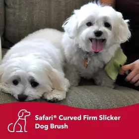 313111519546 PET PRODUCTS Dog Slicker Brush Hair #3