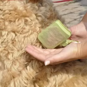 W417 PET PRODUCTS Safari Dog Cleaning Slicker Brush Mat #3