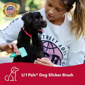W6202 PET PRODUCTS Liftl Pals Dog Slicker Brush Coated #2