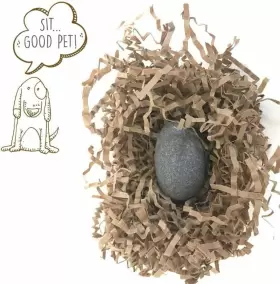 791090348881 PET ROCK Gary Dahl Multicolor #2
