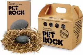791090348881 PET ROCK Gary Dahl Multicolor