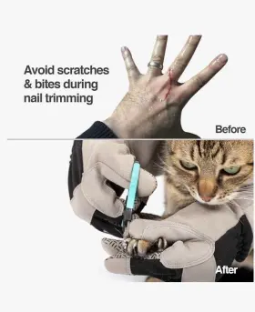PF-HG2 PETFUSION Multipurpose Pet Gloves Handling #3