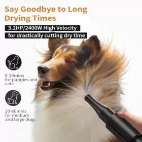 603977326205 PETNF Dog Dryer Pet Hair Blower Blow High #2