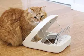 426861070205 PETQUALITY SHOW THAT LOVE Sureflap Surefeed Rfid #2