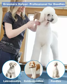 313092638694 PETQUEEN Dog Slicker Brush Doodles Poodles Gol #2