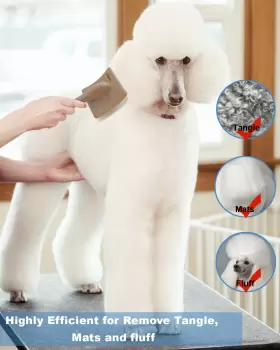 313092638694 PETQUEEN Dog Slicker Brush Doodles Poodles Gol #3